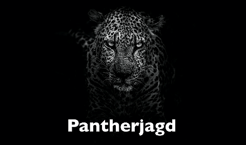 Pantherjagd